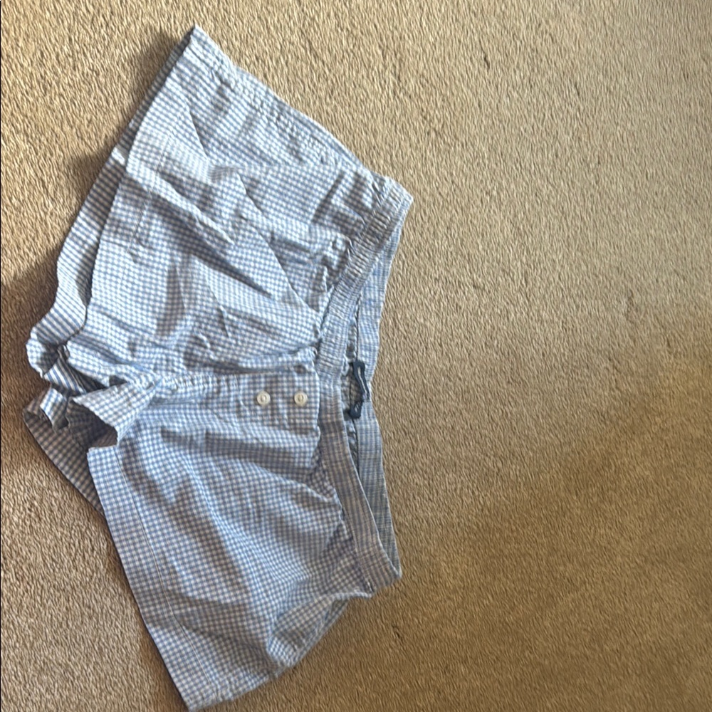Brandy Melville Light Blue Gingham Shorts